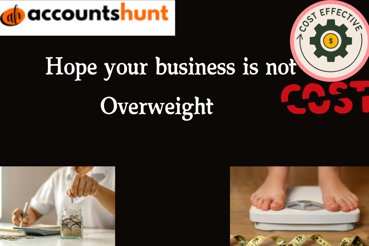 Overweight Business